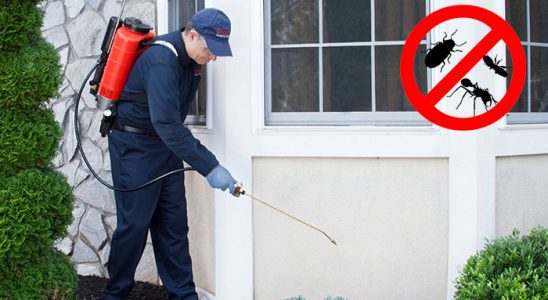 Doğanyol Haşere İlaçlama böcek ilaçlama ve haşere kontrolü — ilaclama-tr.com